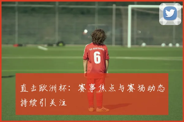 直击欧洲杯:赛事焦点与赛场动态持续引关注