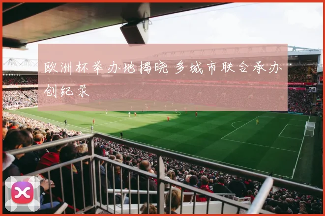 欧洲杯举办地揭晓 多城市联合承办创纪录