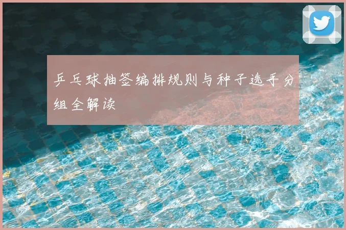 乒乓球抽签编排规则与种子选手分组全解读