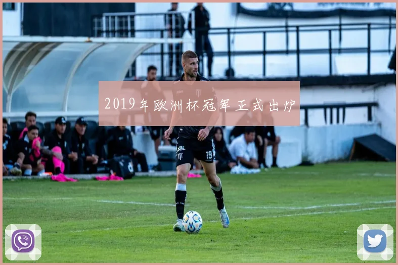 2019年欧洲杯冠军正式出炉