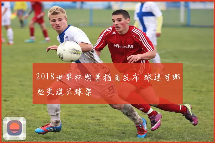 2018世界杯购票指南发布 球迷可哪些渠道买球票