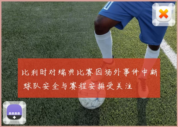 比利时对瑞典比赛因场外事件中断 球队安全与赛程安排受关注