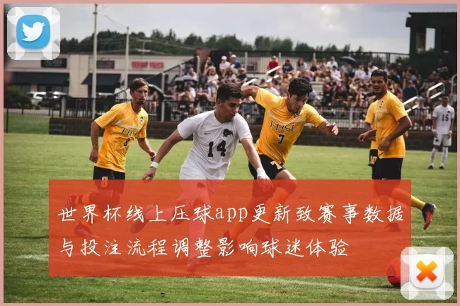 世界杯线上压球app更新致赛事数据与投注流程调整影响球迷体验