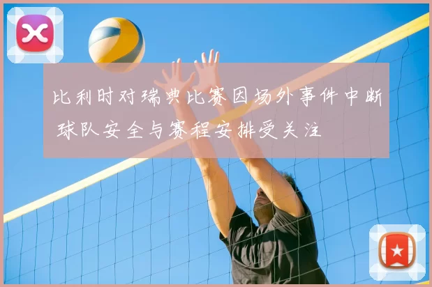 比利时对瑞典比赛因场外事件中断 球队安全与赛程安排受关注