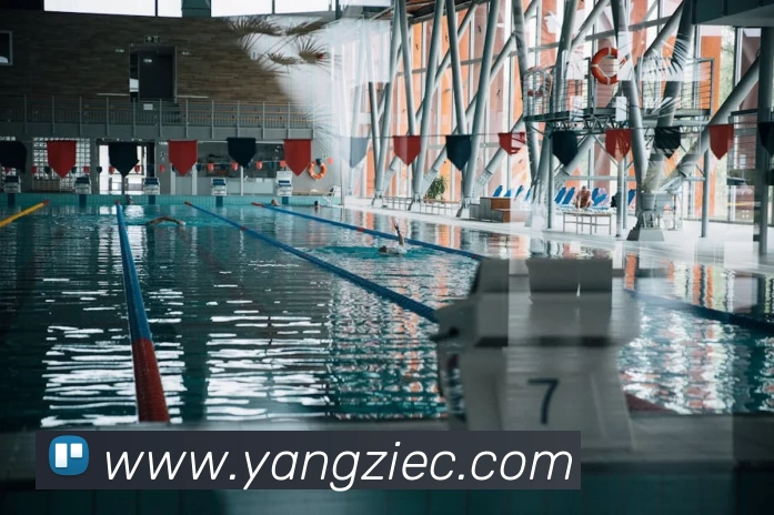 多媒体互动体验